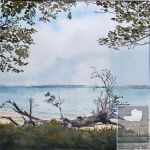 Image of artwork Sense of Coochie - Peace - Tranquility